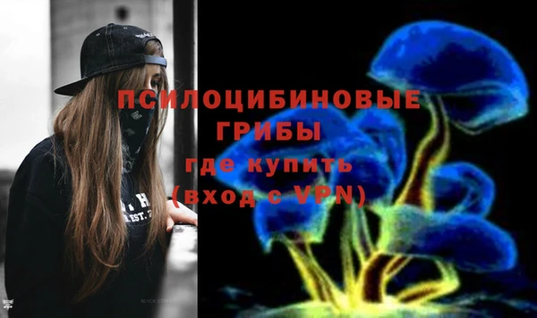 гашик Алзамай