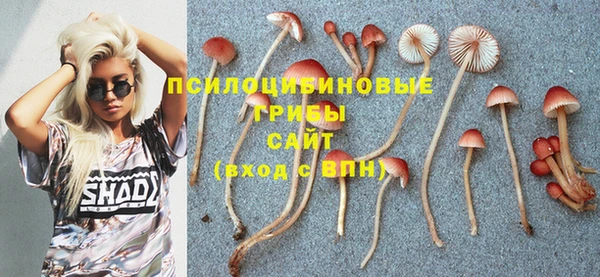 гашик Алзамай