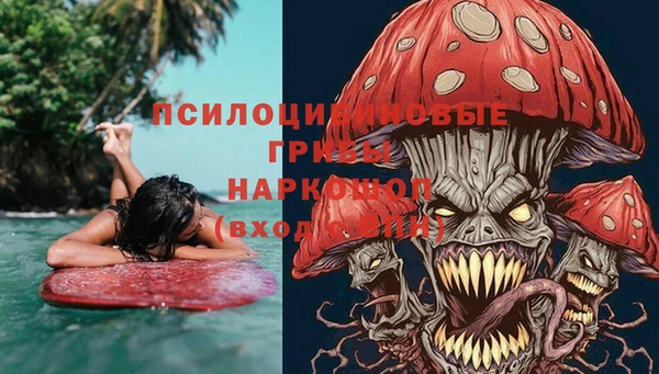 гашик Алзамай